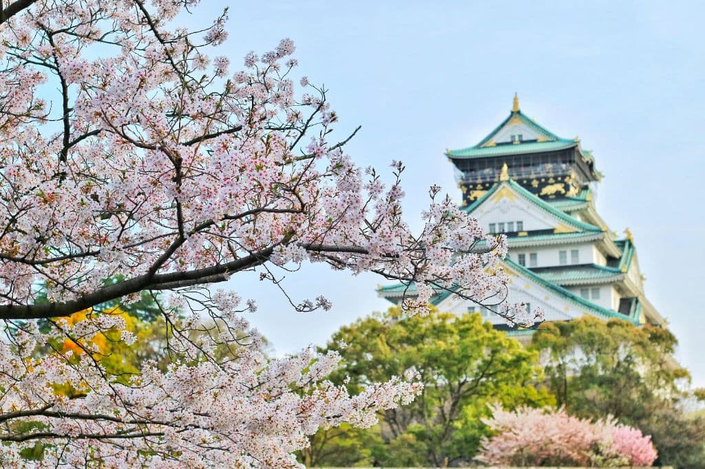 Japan Visa